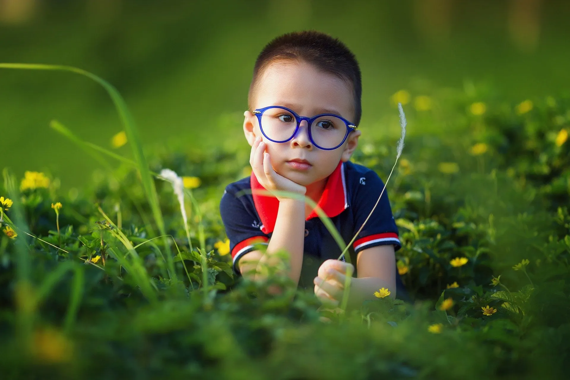 chłopiec w okularach siedzi na łące, w czerwcu pyłków jest dużo