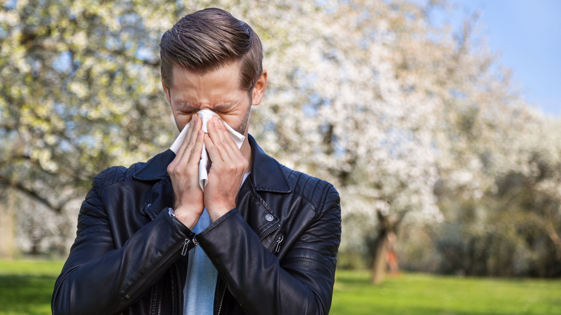 alergia, pyłki, mężczyzna, kichanie, kichający mężczyzna, wiosna