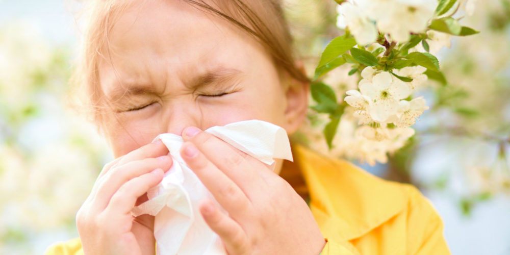 girl sneezing, alergia na pyłki roślin