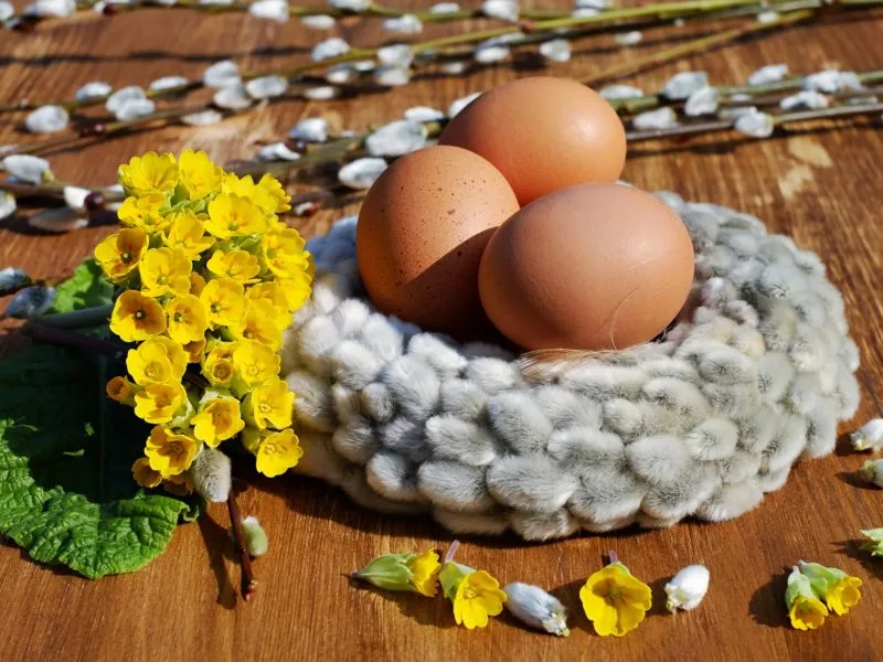 Eggs in a basket and yellow flowers