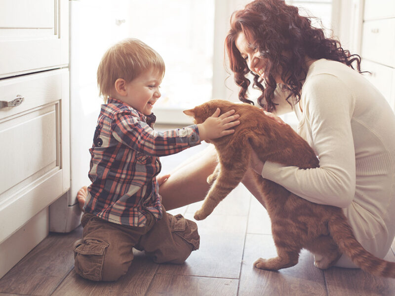 Mother with her baby playing with pet on the floor at the kitchen at home