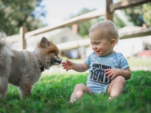 Dziecko siedzi na trawie i dotyka małego psa