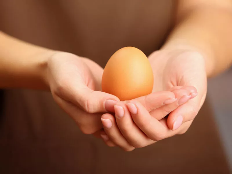 Jajko w skorupce trzymane w dłoniach, owoalbumina