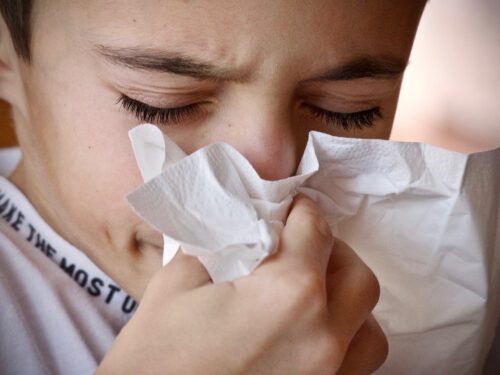dziecko kicha w chusteczkę, alergia na roztocze kurzu domowego