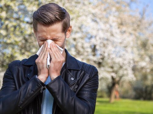 alergia, pyłki, mężczyzna, kichanie, kichający mężczyzna, wiosna, co pyli w marcu
