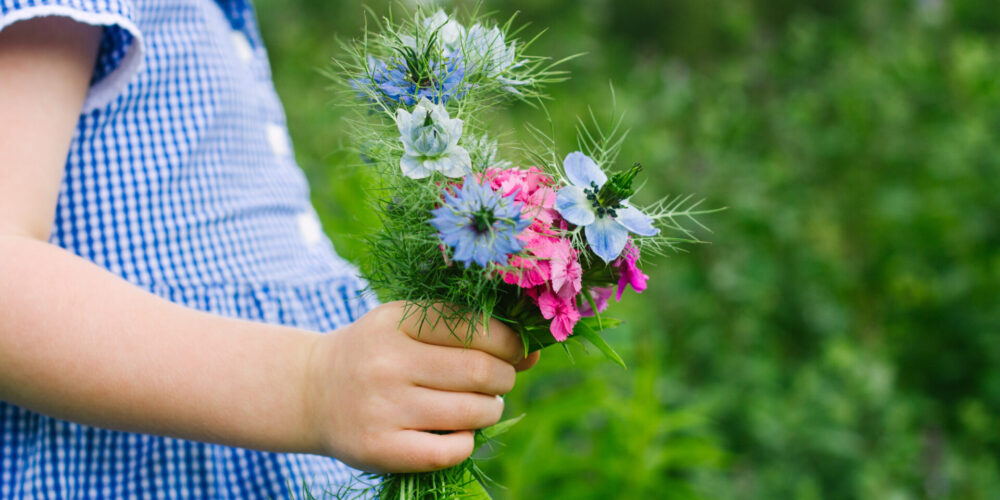 Czarnuszka, dziecko, dziewczynka, dziecko trzymające kwiatki, dziewczynka trzymająca kwiatki, olej z czarnuszki, olej z czarnuszki na alergię