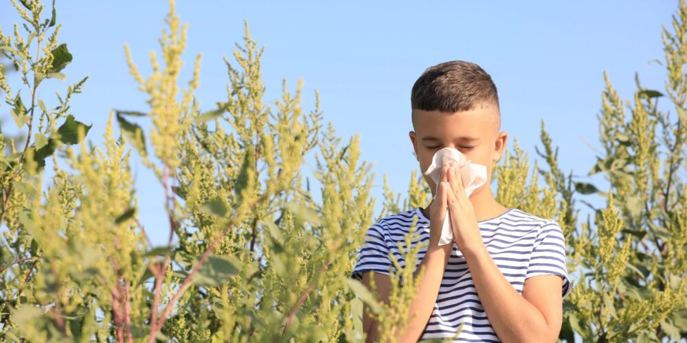 alergia na ambrozję, alergia, ambrozja, chłopiec kicha, chłopiec na łące