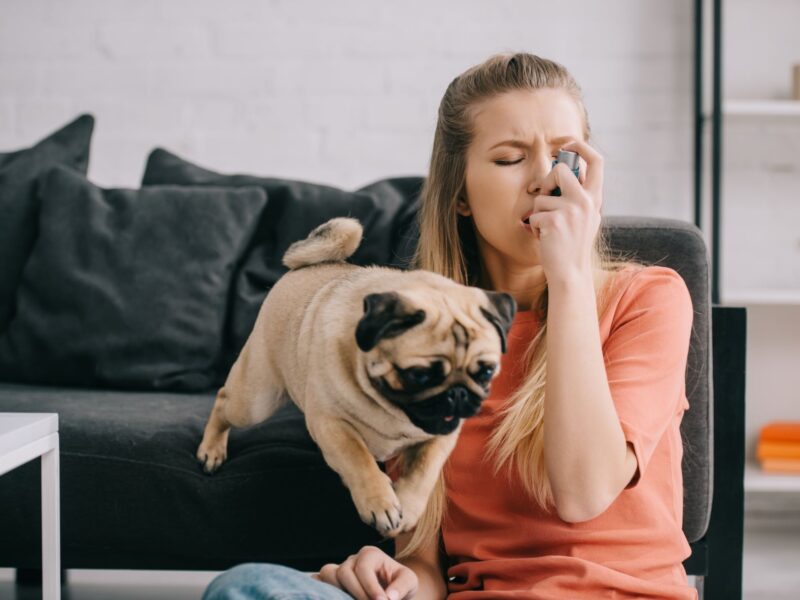 kobieta trzyma inhalator w ustach, z kanapy skacze mały brązowy pies, astma oskrzelowa