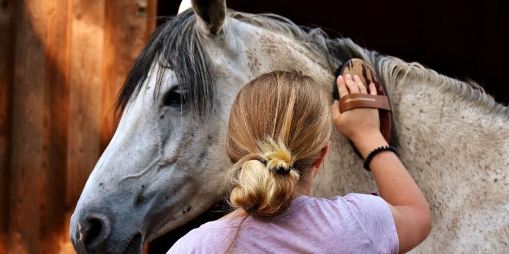 kobieta czesze konia, kobieta zajmująca się koniem, kobieta opiekuje się koniem, alergia na konia, koń